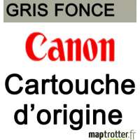  Canon - PGI-29DGY - Cartouche d'encre gris foncé - 4870B001 