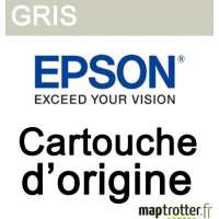  Epson - T5807 - Cartouche d'encre Gris  - 80ml - C13T580700 