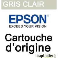  Epson - T5809 - Cartouche d'encre Gris Clair - 80ml - C13T580900 