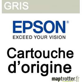  Epson - T5967 - Cartouche d'encre gris - 350ml - C13T596700 
