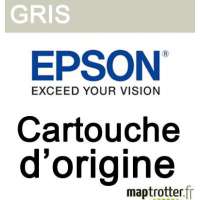 Epson - T6367 - Cartouche d'encre grise - produit d'origine - 700ml - C13T636700