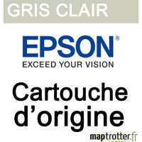 Epson - C13T824900 - T824900 Cartouche d'encre gris claire, 350 ml