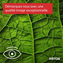 Xerox - C315V_DNI - Multifonction, impression, copie, scan, fax, laser, couleur, A4, Recto verso en impression, copie, scan (un 