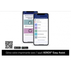 Xerox - B315V/DNI - Multifonctions, Impression, copie, scan, fax, laser, noir et blanc, A4, recto verso en impression, copie, sc