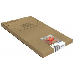 Epson - 603 - C13T03U54510...